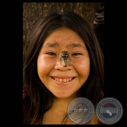 COMUNIDAD ACHÉ DE KUETUVY, 2011 - Fotografías de TAMARA MIGELSON